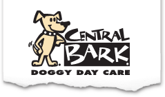 Family Pet Photo Day @ Central Bark | Oakland Park | Florida | United States