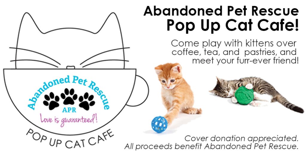 POP-UP CAT CAFE 3/25/18 @ Blanco Y Blanco Arts | Fort Lauderdale | Florida | United States