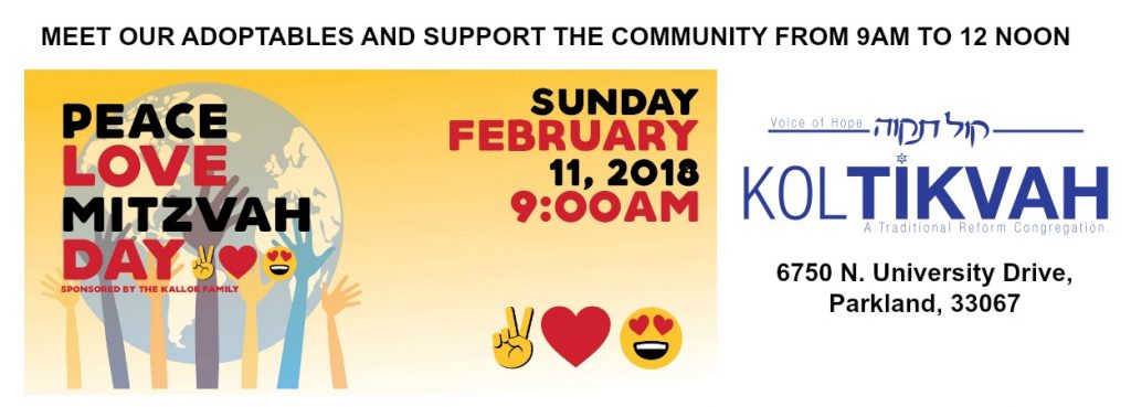 PEACE LOVE MITZVAH DAY 2/11/18 @ Kol Tikvah Congregation | Parkland | Florida | United States