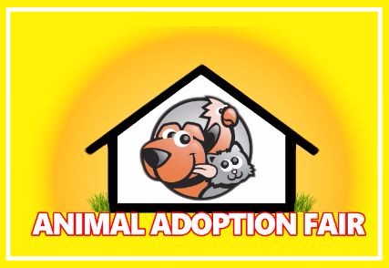 8th Annual Animal Adoption Fair 4/28/19 @ War Memorial Auditorium | Fort Lauderdale | Florida | United States