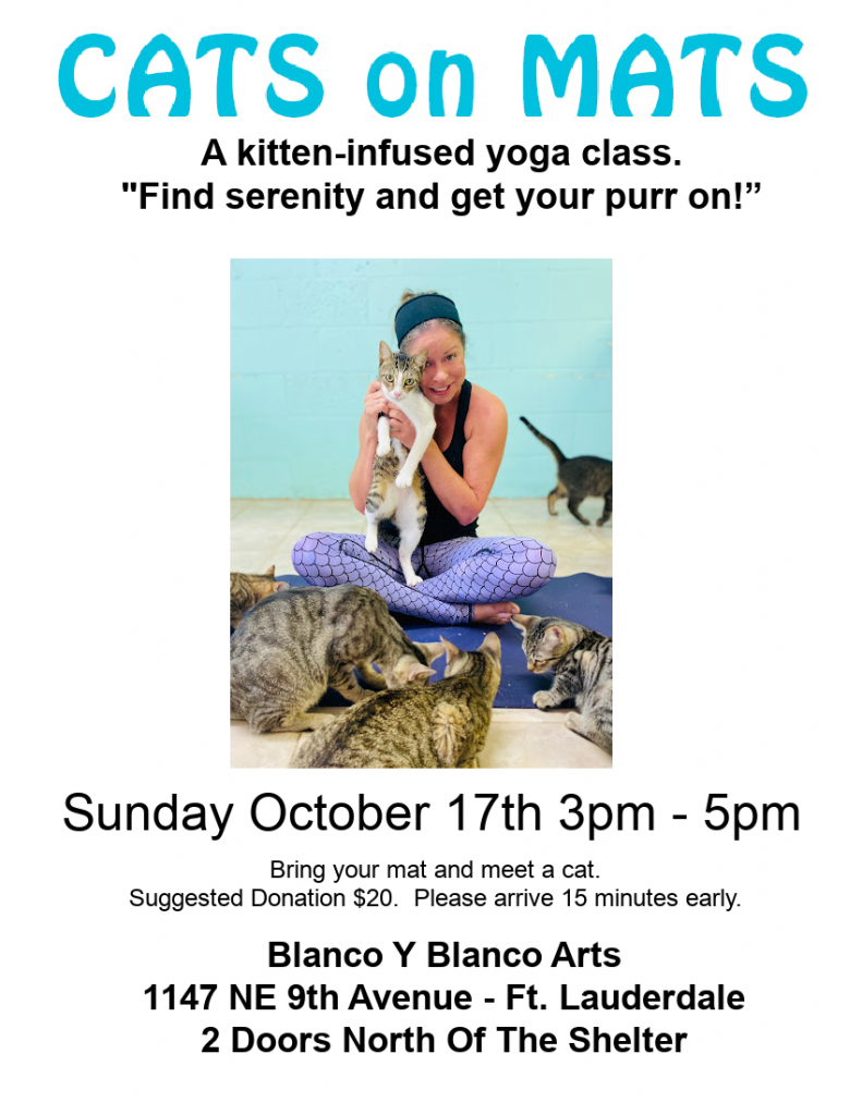 CATS ON MATS (10/17) @ Blanco Y Blanco Arts | Fort Lauderdale | Florida | United States