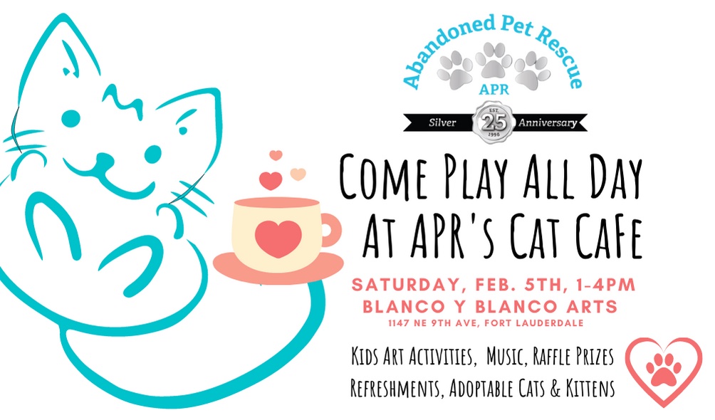 POP-UP CAT CAFE (2-5-22) @ Blanco Y Blanco Arts | Fort Lauderdale | Florida | United States