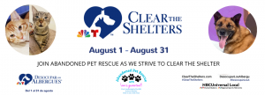 CLEAR THE SHELTERS (8-1 THROUGH 8-31)