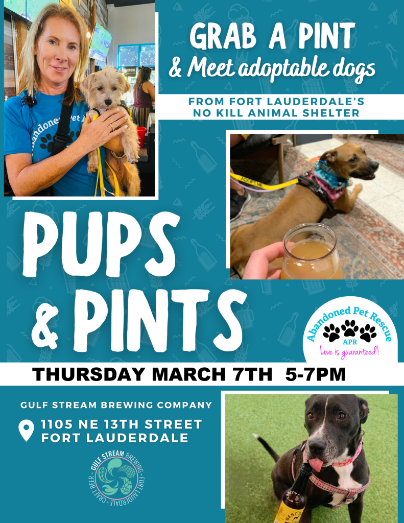 PUPS & PINTS (3/7/24) @ Gulfstream Brewery | Fort Lauderdale | Florida | United States