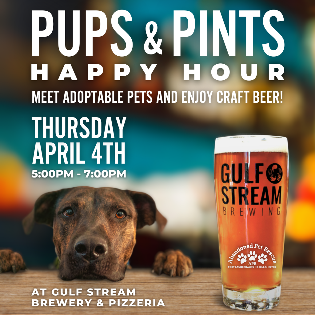 PUPS & PINTS (4/4/24) @ Gulfstream Brewery | Fort Lauderdale | Florida | United States