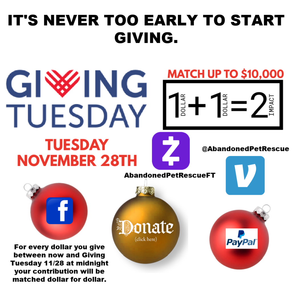 GIVING TUESDAY (11/20-11/29)