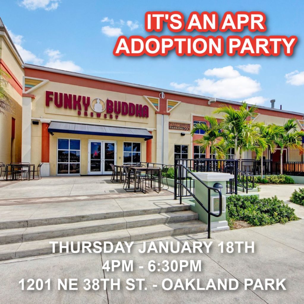 FUNKY BUDDHA APR ADOPTION PARTY (1/18) @ FUNKY BUDDHA BREWERY | Oakland Park | Florida | United States