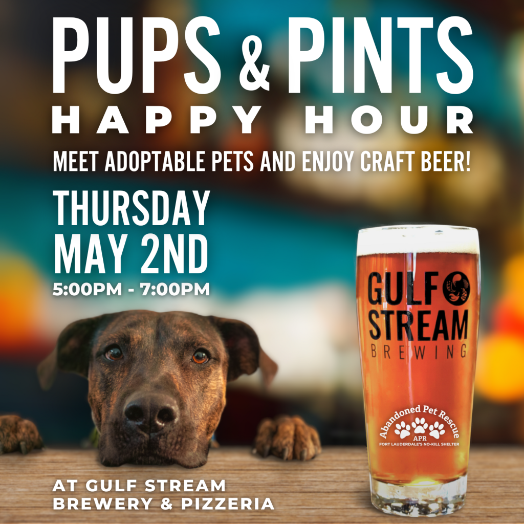 PUPS & PINTS (5/2) @ GULFSTREAM BREWERY | Fort Lauderdale | Florida | United States