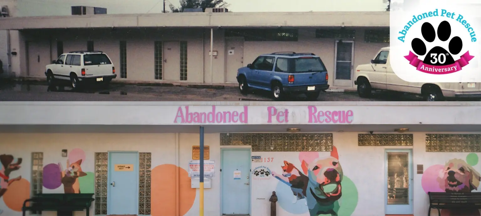 30th Anniversary banner