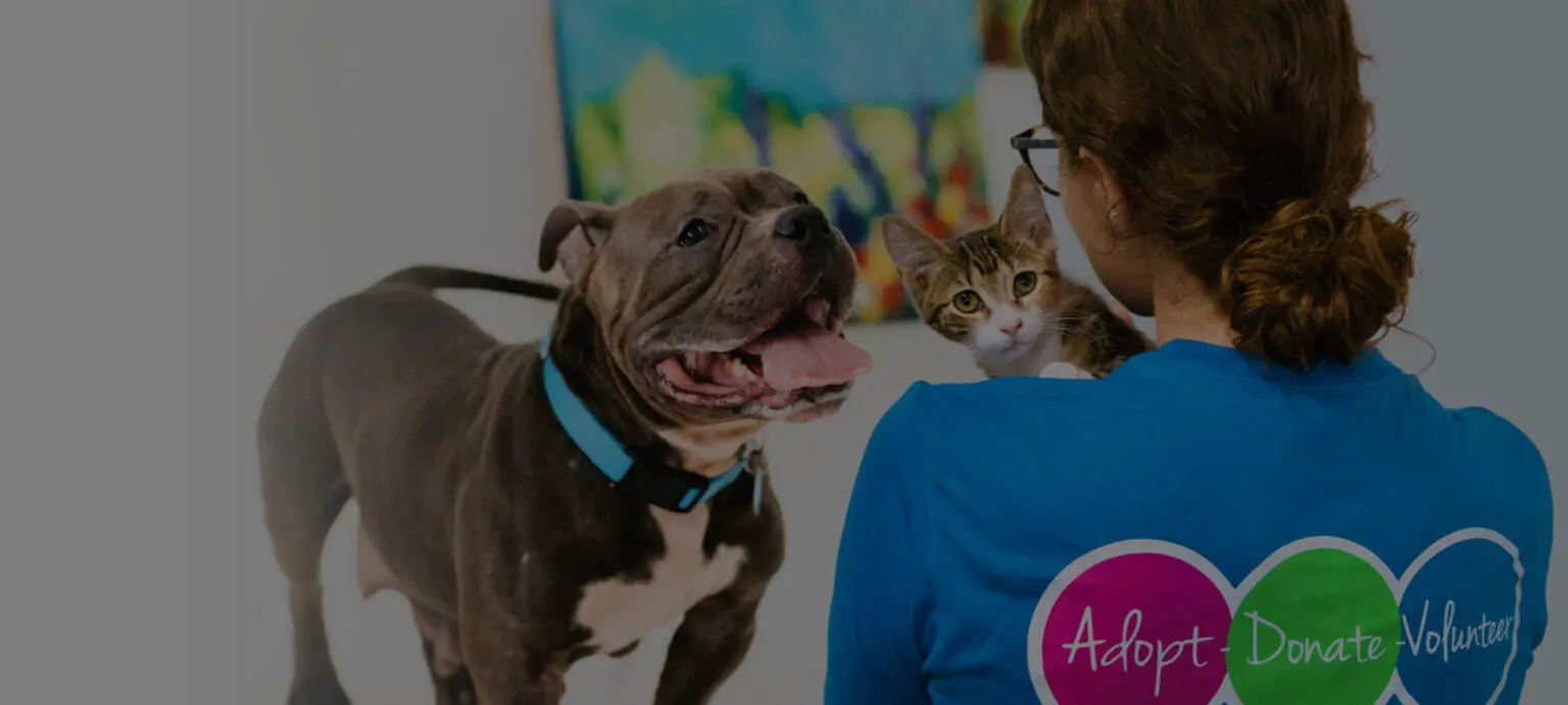 Main Homepage Slider